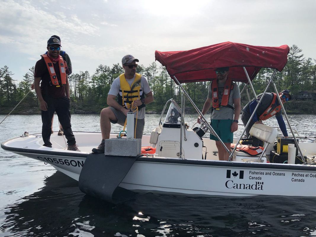 Prof. Graham Raby and his students are working alongside community members and researchers from Fisheries and Oceans Canada to learn more about Stoney Lake’s fish populations
