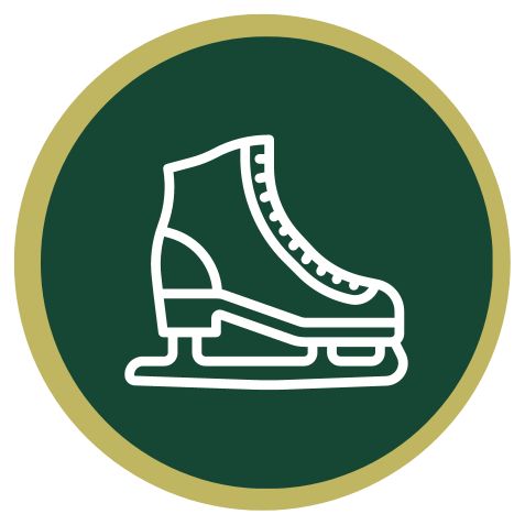 Skate-icon