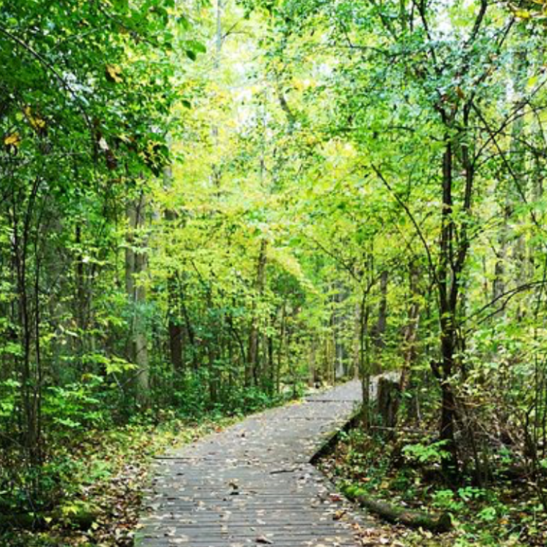 Trent nature trails image