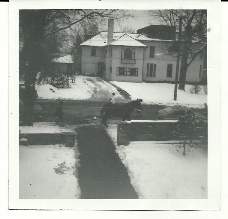 Old photo of Horse Plow