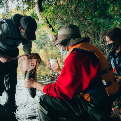 A few individuals examining samples from a river